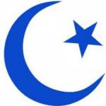 Moon Shine Construction Corp Profile Picture