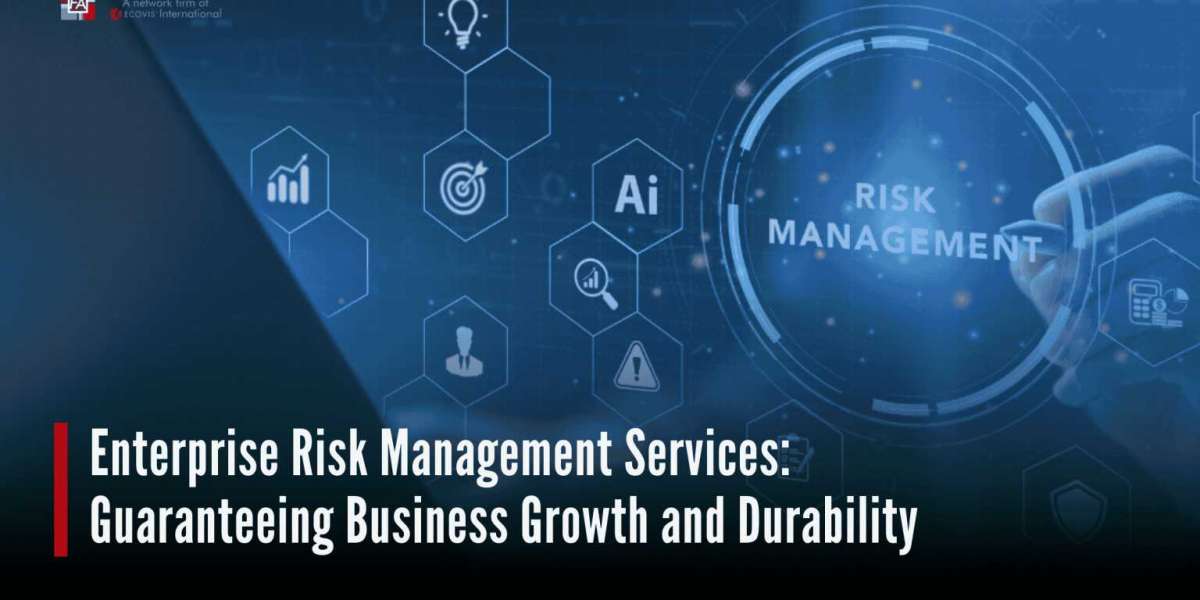 Enterprise Risk Management Services: Guaranteeing Business Growth and Durability