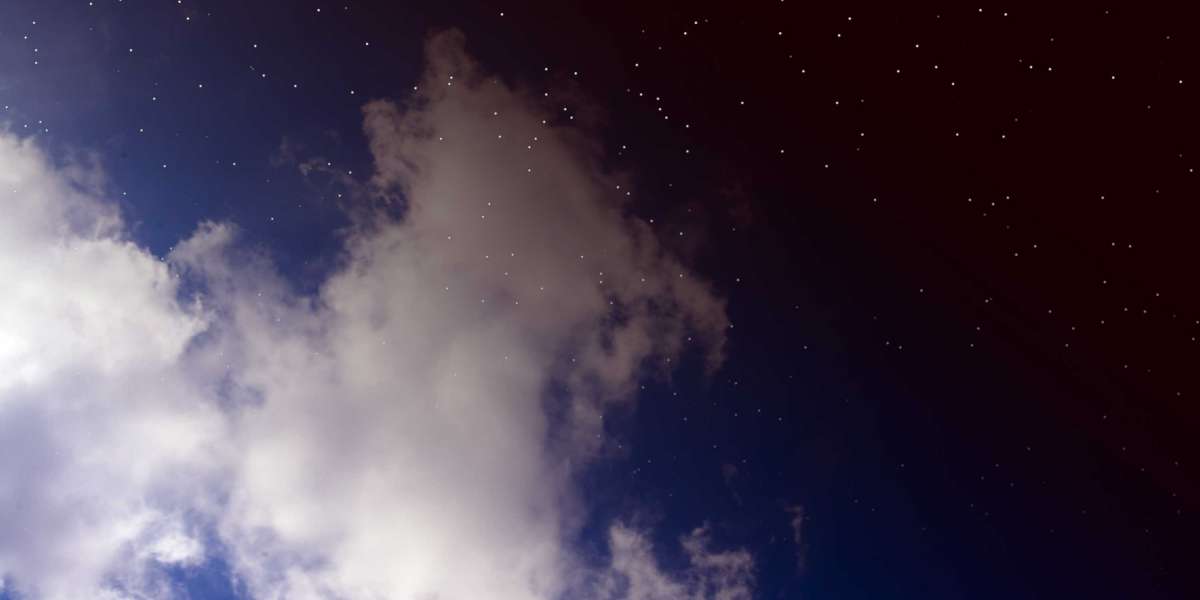 Exploring the World of Aircraft Rentals: A Comprehensive Observational Study