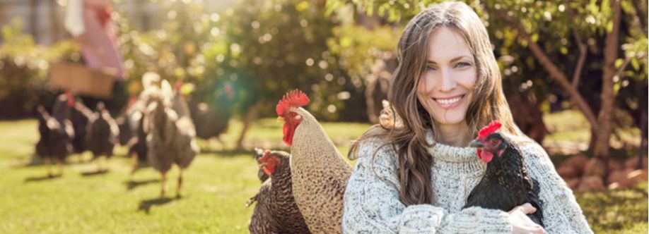 Coops and Hutches Direct Cover Image