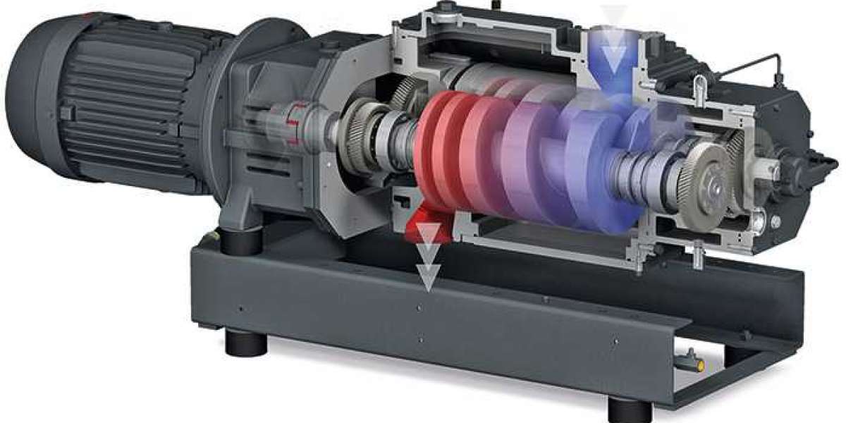 Global Vacuum Pumps Industry Outlook: Growth Drivers and Challenges