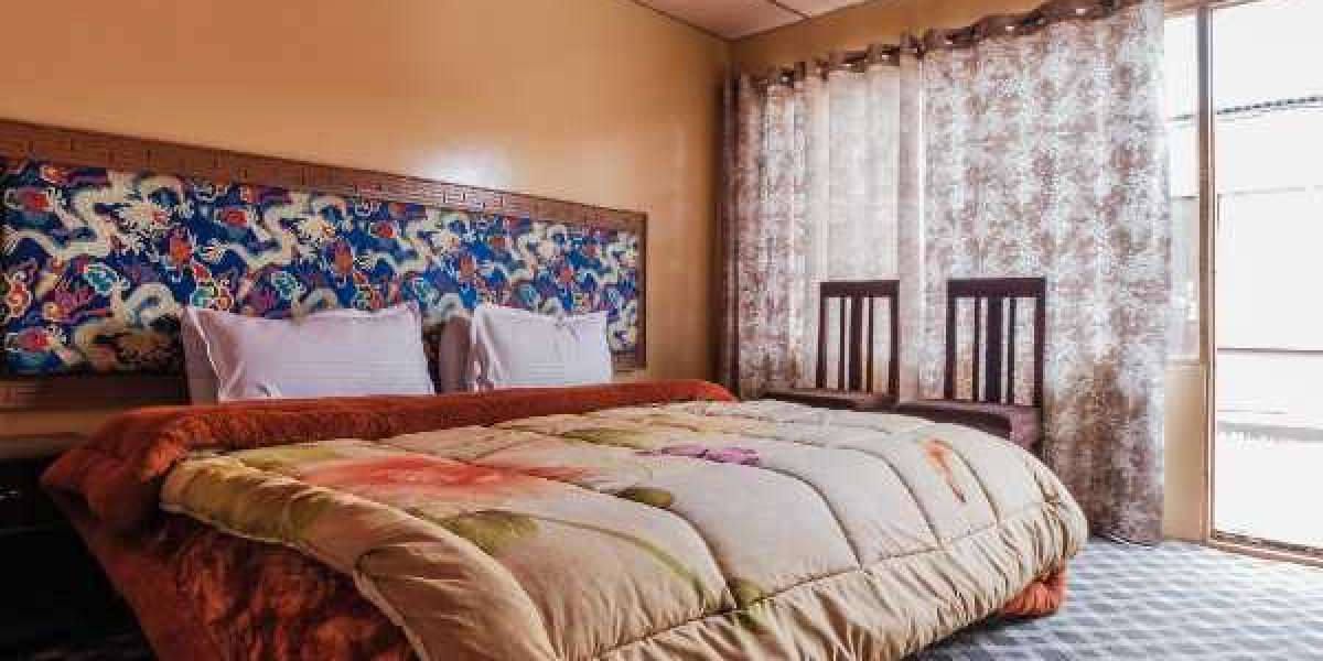 Luxury Camping in Nubra & Pangong Adventures: Where Comfort Meets the Himalayas