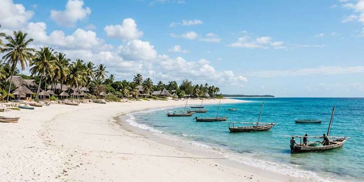 Mozambique Visa Types and Application Process Guide