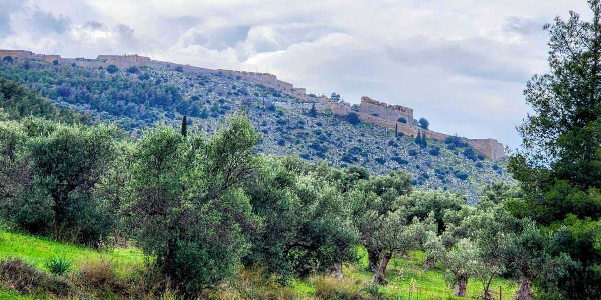 Profitable Investments in Greece for Entrepreneurs and Startups
