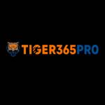 Tiger 365 Profile Picture
