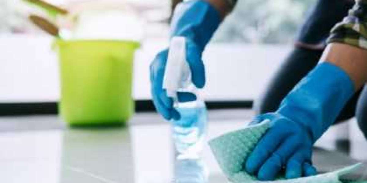 Professional Move-Out Cleaning for a Spotless Property